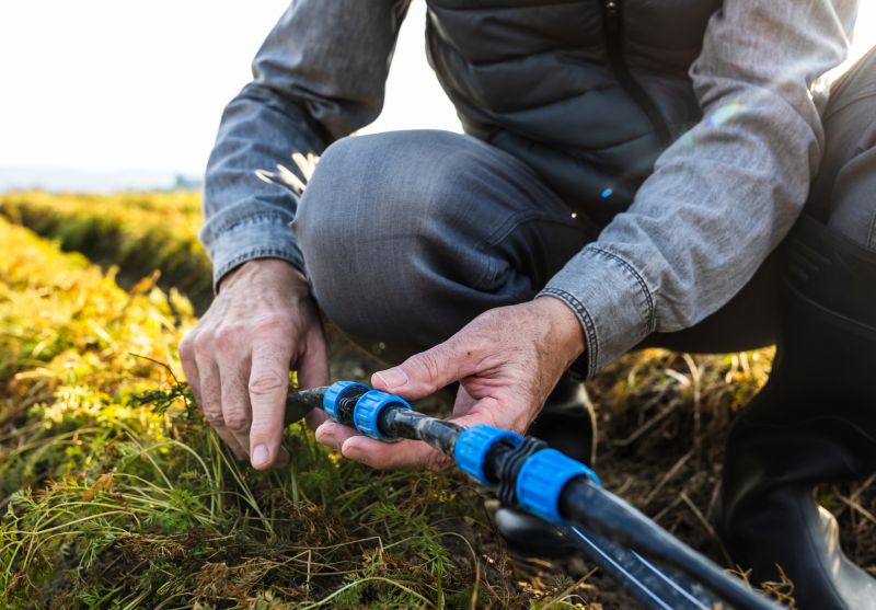 Water Supply Connection